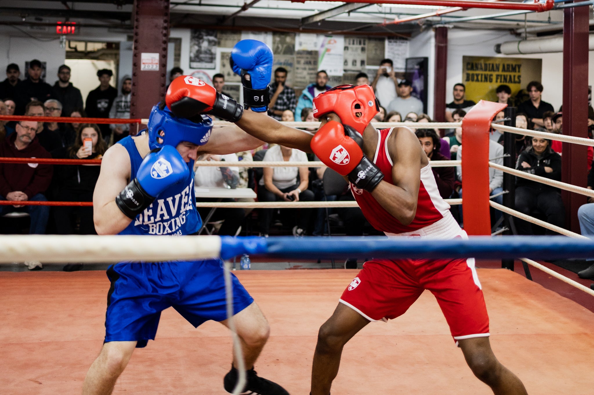 AMATEUR BOXING