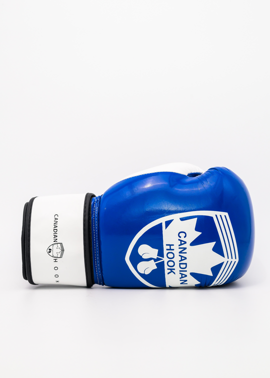 G2000 BOXING GLOVES - BLUE/WHITE