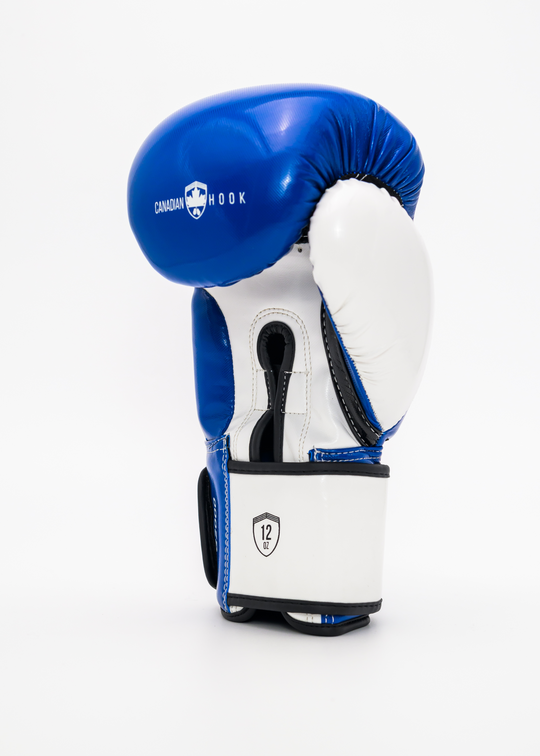 G2000 BOXING GLOVES - BLUE/WHITE