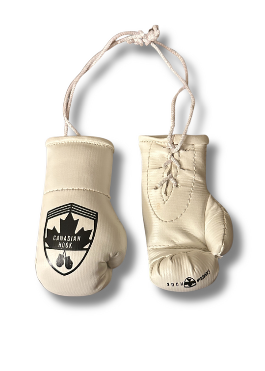 Canadian Hook Miniature Boxing Gloves