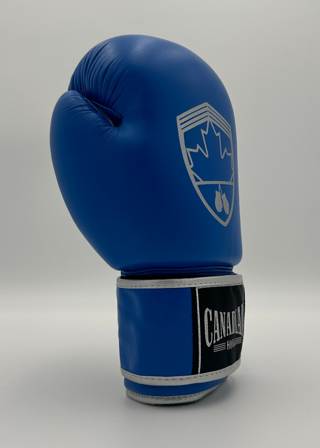 G10000 BOXING GLOVES - BLUE