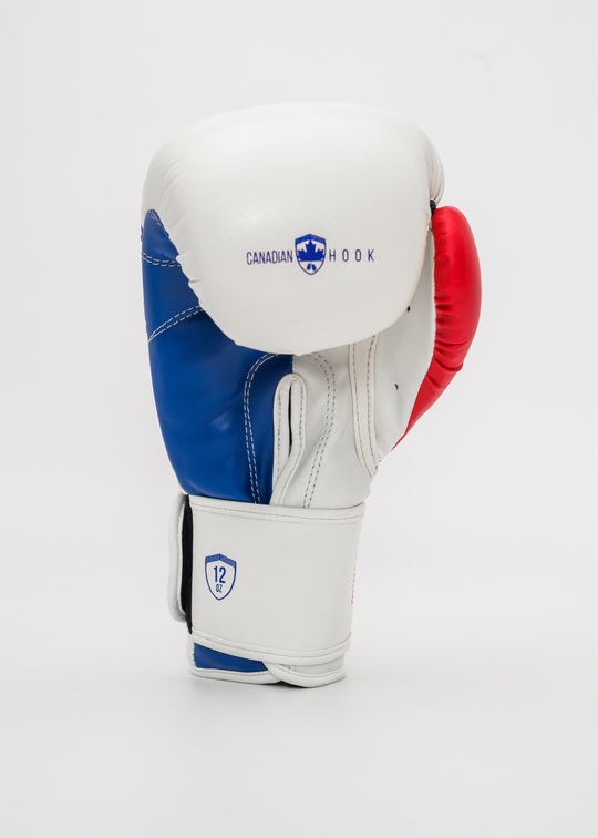 G3000 BOXING GLOVES - WHITE/RED/BLUE