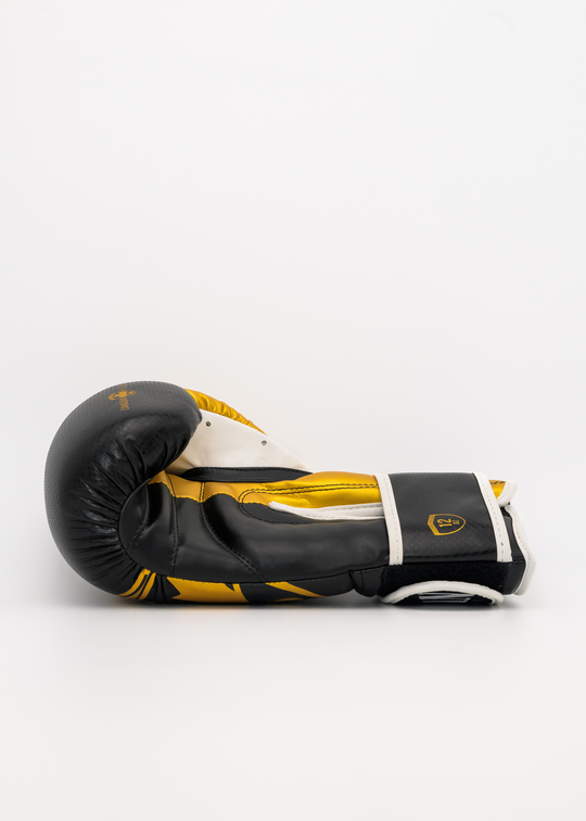 G3000 BOXING GLOVES - BLACK/GOLD