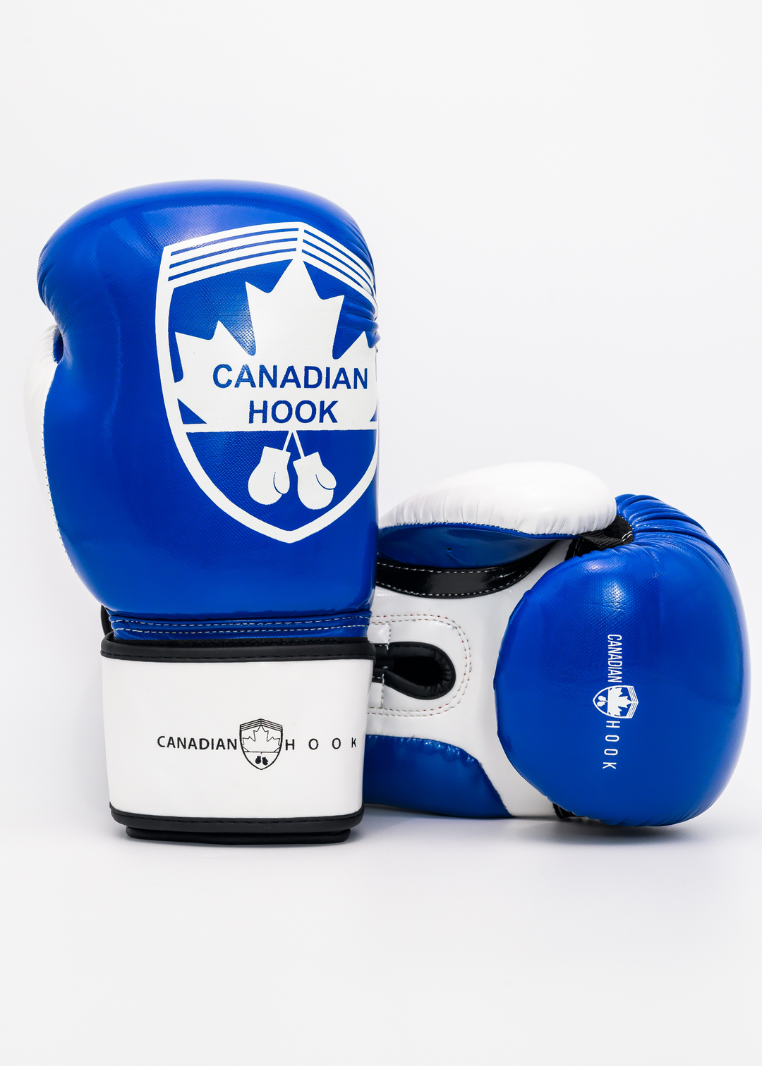G2000 BOXING GLOVES - BLUE/WHITE