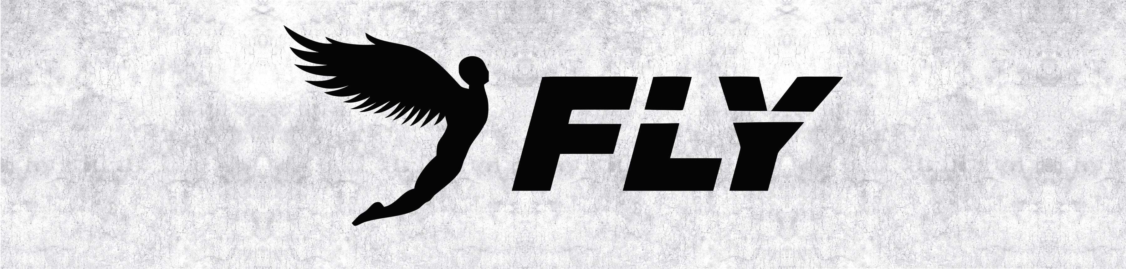 FLY