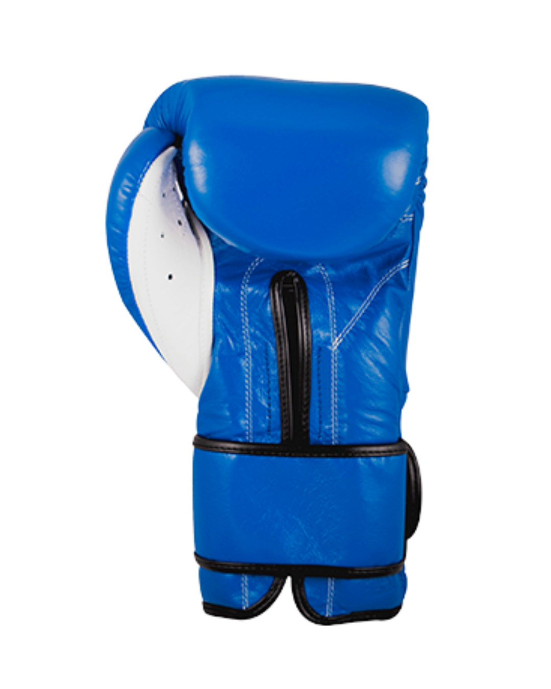 Cleto Reyes Traditional Training Gloves - Hook and Loop (BLUE)